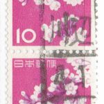 ソメイヨシノ10円ペアのフクシマ川辺局