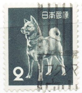 旧アキタ犬2円のフクシマ守山局