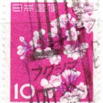ソメイヨシノ10円のフクシマ四倉局