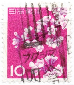 ソメイヨシノ10円のフクシマ四倉局