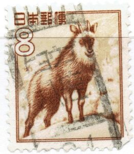 カモシカ8円のヒョウゴ八鹿局