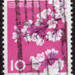 ソメイヨシノ10円のヤマガタ古口局