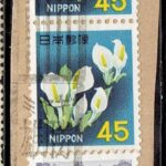 ミズバショウ45円ペア他のミヤギ雄勝局