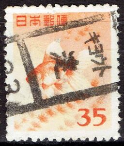 金魚35円のキョウト淀局