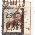 カモシカ8円のヒョウゴ竜野局