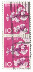 ソメイヨシノ10円ペアのアオモリ青森古川局