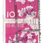 ソメイヨシノ10円ペアのアオモリ青森古川局