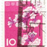 ソメイヨシノ10円のフクシマ坂下局