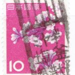 ソメイヨシノ10円のミヤギ塩釜築港大通局