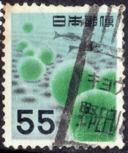 旧マリモ55円のキョウト野田川局
