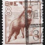 カモシカ8円のヒョウゴ旭陽局
